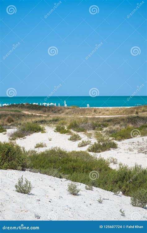 Saadiyat Public Beach, Saadiyat Island, Abu Dhabi, UAE Editorial Stock Image - Image of leisure ...