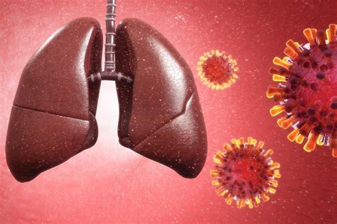 Analyzing Transcriptomic Landscape Of Sars Cov Infected Lung Cells