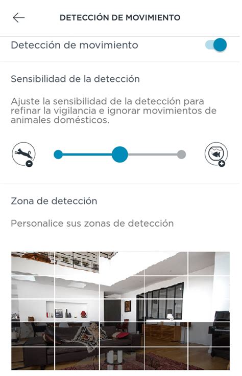 C Mo Configurar La Detecci N De Movimiento Antes De Elegir Somfy