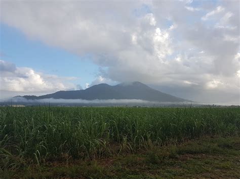 Mount Mackay Because Its There Townsville Hike And Explore