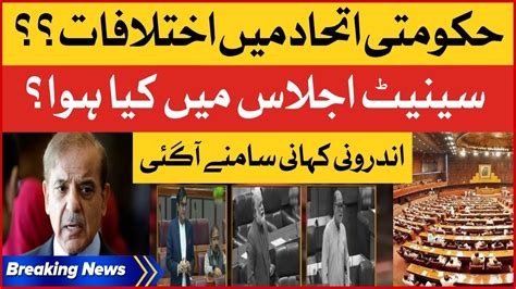 Shehbaz Govt In Trouble Ppp Vs Pmln Senate Session Inside Story