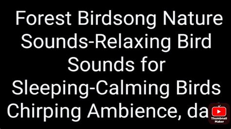 🐦 Forest Birdsong Nature Sounds Relaxing Bird Sounds For Sleeping Calming Birds Chirping