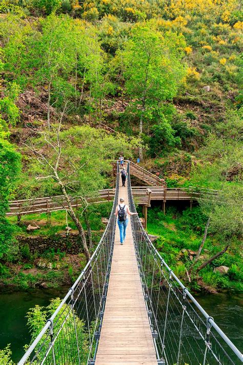 Las pasarelas de Paiva y el puente peatonal más largo del mundo Foto 4