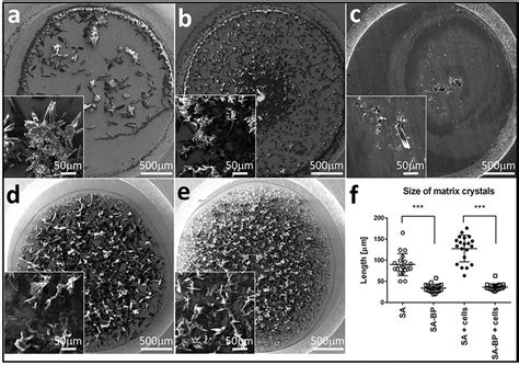 Black Phosphorus Improves Sinapinic Matrix Crystallization As