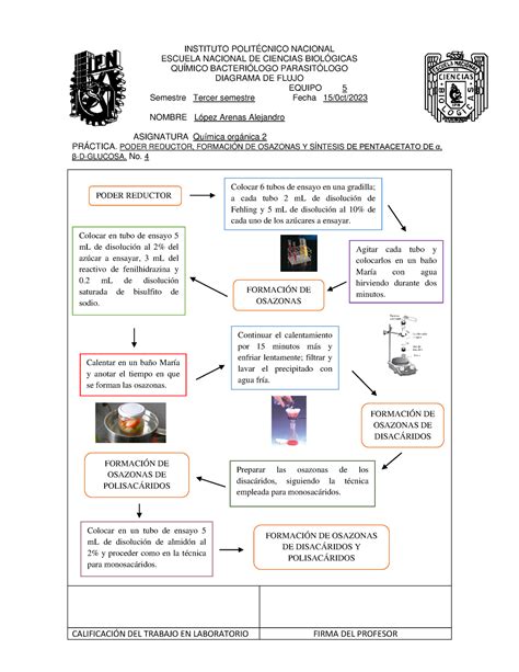 Diagrama De Flujo Instituto Polit Cnico Nacional Escuela Nacional