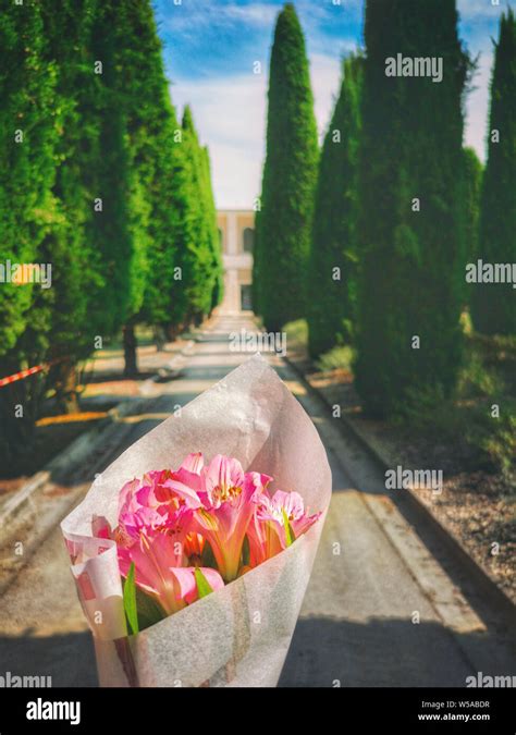 Blumen am friedhof Fotos und Bildmaterial in hoher Auflösung Alamy