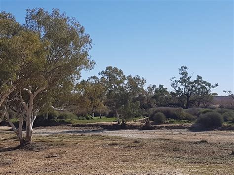 Deserts And Xeric Shrublands Australian Acoustic Observatory A20