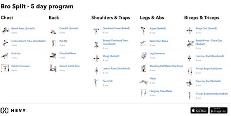 Bro Split Ultimate Guide To The 5 Day Bro Split Workout Program Hevy