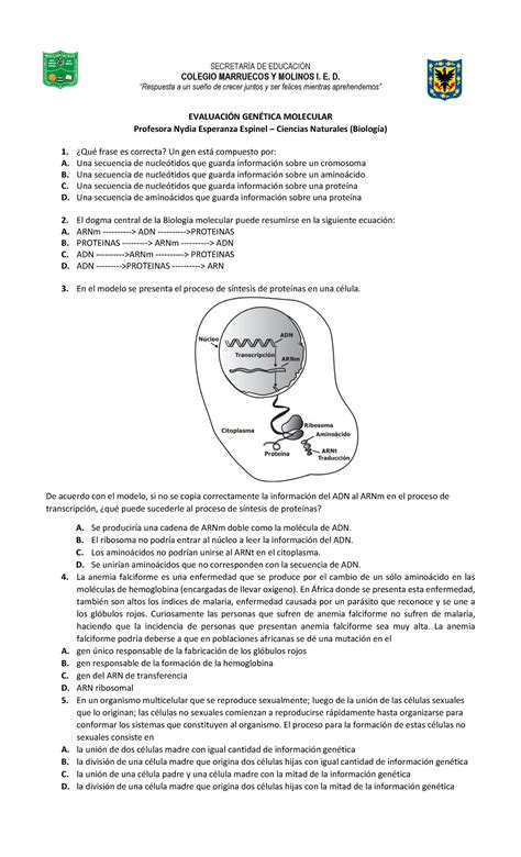 Preguntas Evaluaci N Gen Tica Molecular Secretar A De Educacin