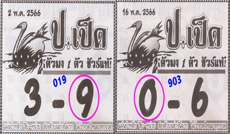 Thai Lottery Sure Win Digit Best Tips June Thai Lottery Thai