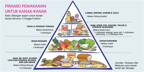 Kelas Makanan Dan Contoh Berdasarkan Piramid Makanan Aidankruwmontes