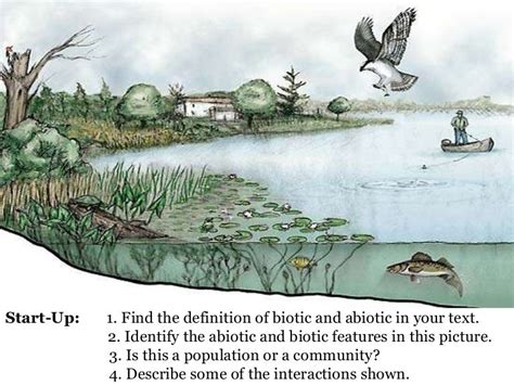 Intro To Ecology And Biomes