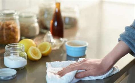 9 Productos De Limpieza Caseros Eco Friendly Y Libres De Químicos