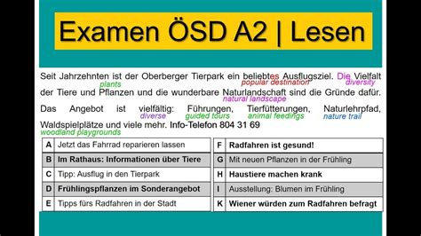 Sd Lesen A German Reading Exam Sd A Youtube