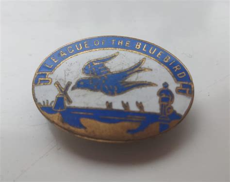 Does Anyone Know What This Badge Is Please Rnorwich