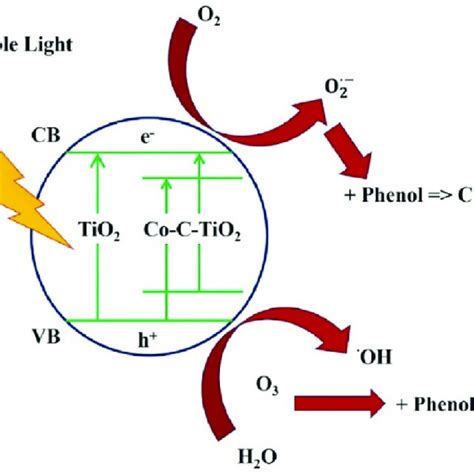 Schematic Representation Of The Proposed Photocatalytic Degradation