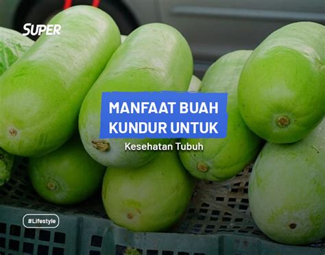 Manfaat Buah Kundur Untuk Kesehatan Cara Konsumsinya