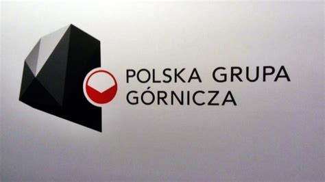 PGG rozważa zmiany w dystrybucji i sprzedaży węgla Portal Biznes Alert