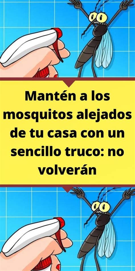 Mosquitos Aqu M Todos Para Deshacerse De L Como Eliminar