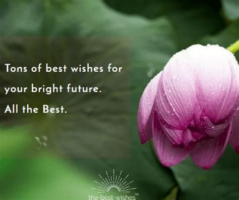 200 All The Best Wishes Messages And Good Luck Quotes