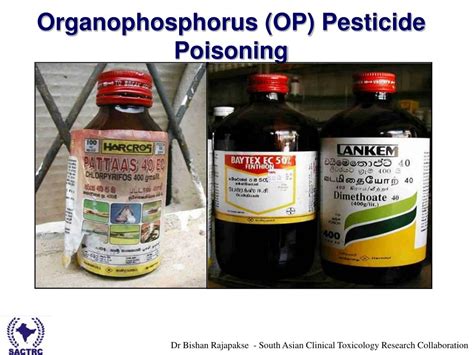 PPT - Organophosphate Pesticide Poisoning PowerPoint Presentation, free download - ID:321279