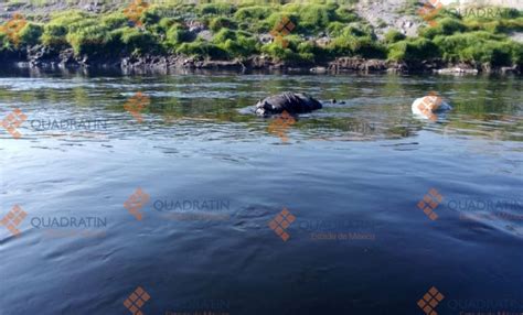 Hallan cuerpo flotando en Río Lerma