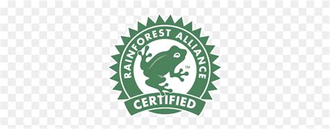 Rainforest Alliance Certified Logo Vector - Rainforest PNG - FlyClipart