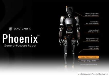 Trustmyscience Phoenix Le Robot Humano De Polyvalent Con U Pour Le