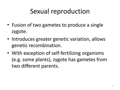 Ppt Meiosis And Genetic Variation Powerpoint Presentation Free