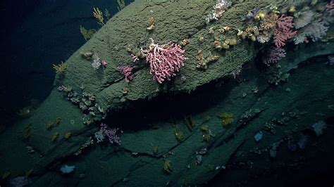 Noaa Ship Okeanos Explorer Northeast U S Canyons Expedition