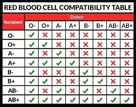 DayZ Blood Type Chart