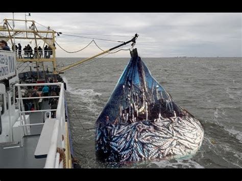 Fishing Net Boat