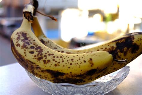 Rotten Bananas Or Overripe Bananas Unhealthy Isolated On White Background Fungus And Black Spot