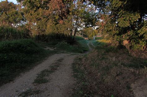 20120920 23 027 Jakobus Morgen Weg Bäume Bernd Brang Flickr