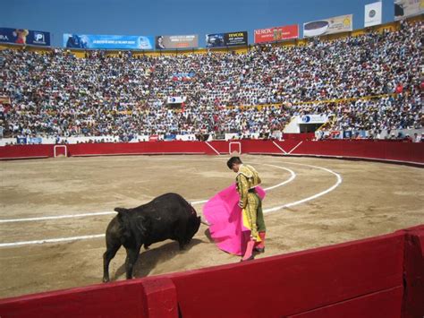 熱く燃えろメキシコの3大スポーツを観戦TapTrip