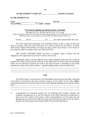 Ex Parte Temporary Orders Of Custody And Support Doc Template PdfFiller