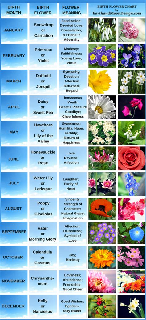 Printable Elegance Unveiled Birth Flowers Flower Chart Flower Meanings