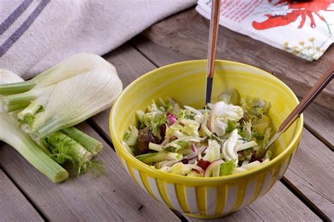 Ensalada De Hinojo El Gourmet