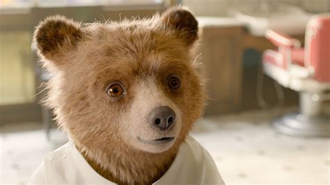 Paddington 3 Release Date Trailer Cast And Everything We Know About Paddington In Peru