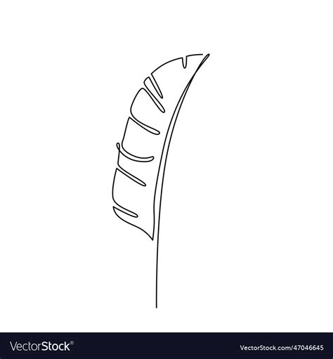 Banana Leaf Line Art Plant Leaf Continuous Vector Image