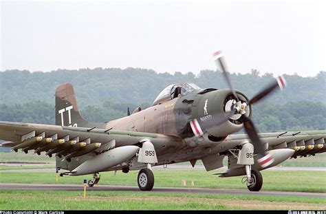 Douglas A 1d Skyraider Untitled Aviation Photo 0516437