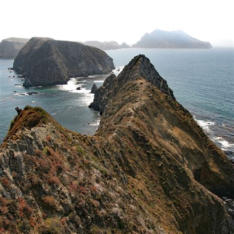 The Perfect Channel Islands Day Trip Guide Sea Salt And Fog