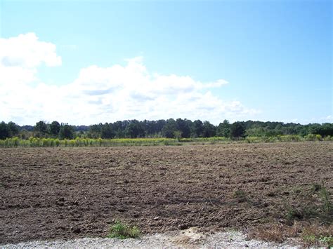 Eufaula National Wildlife Refuge – ooh, pretty