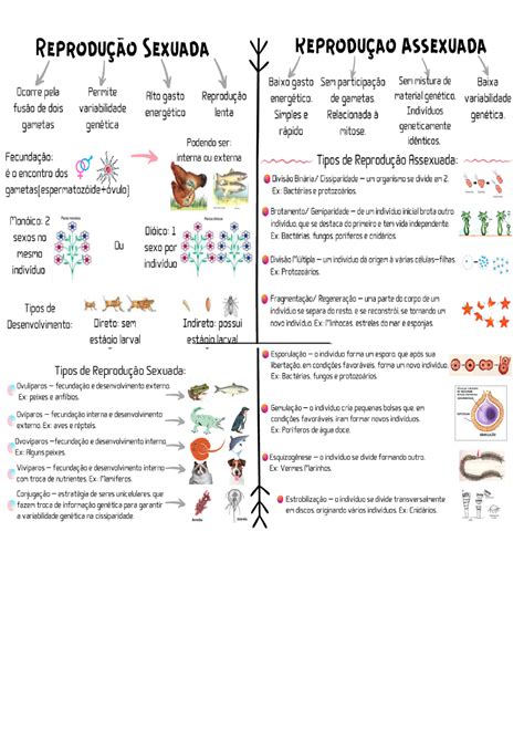 Atividade Sobre Reprodução Sexuada E Assexuada BRAINCP