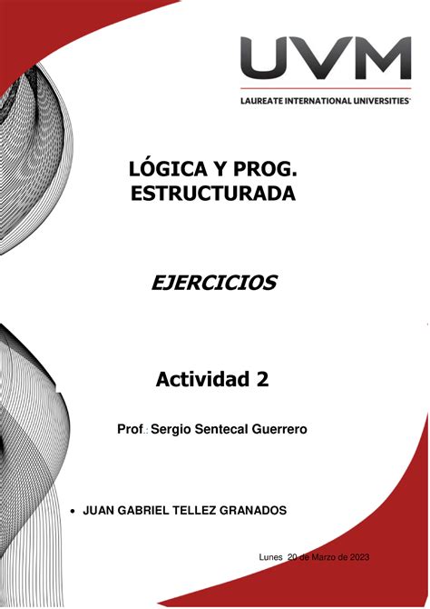 ACTIVIDAD 2 EJERCICIO LGICA Y PROG ESTRUCTURADA EJERCICIOS