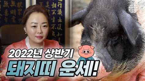 유명한점집띠별운세 2022년 상반기 🐷돼지띠 운세 점점tv Youtube