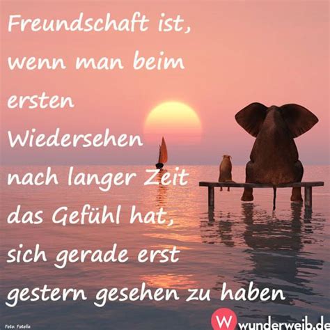 Spruch Des Tages Weisheiten F R Jede Gelegenheit Spr Che Sch Ne