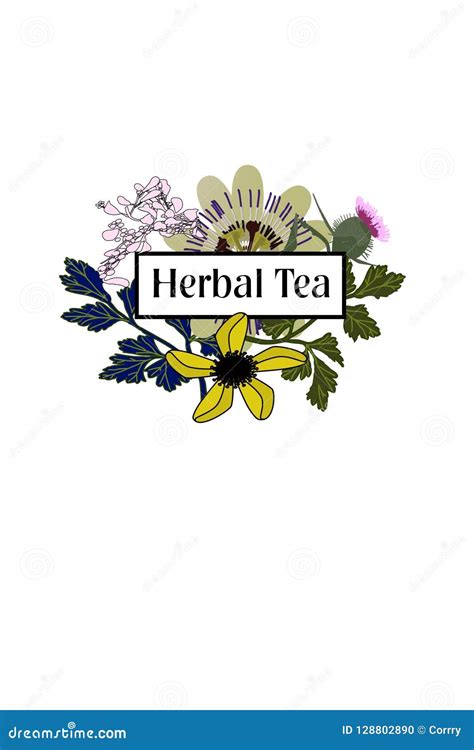 Herbal Tea Caffeine Free Stock Vector Illustration Of Nettles 128802890