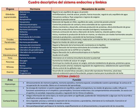 Ejemplos De Cuadros Descriptivos Plantillas Gratis