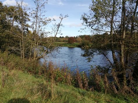 Shrawley Woods Astley Burf And The Severn In Winter Gay Outdoor Club